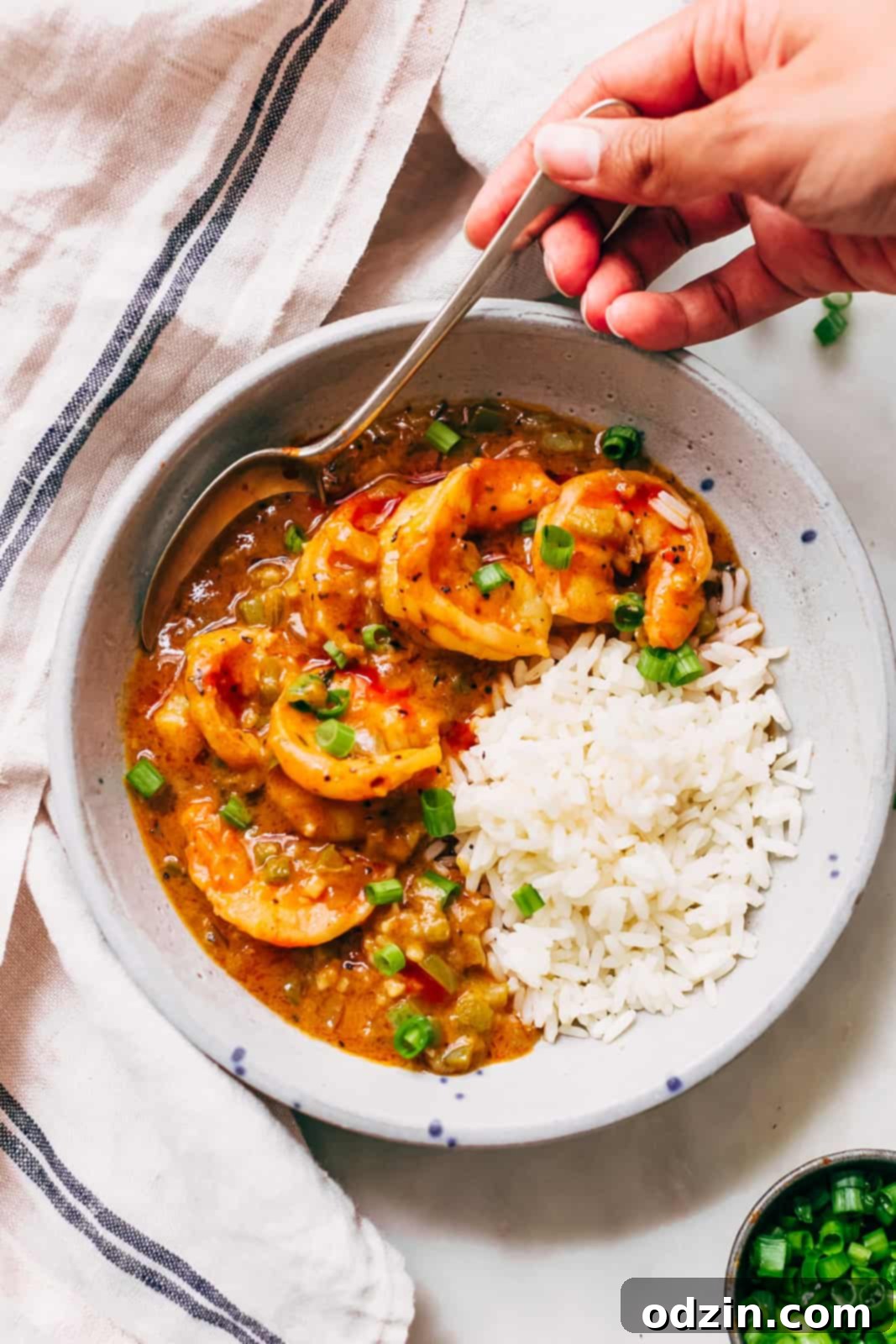 Spicy Cajun Shrimp Etouffee 8 hand lifting prepared shrimp étouffée in bowls ith rice