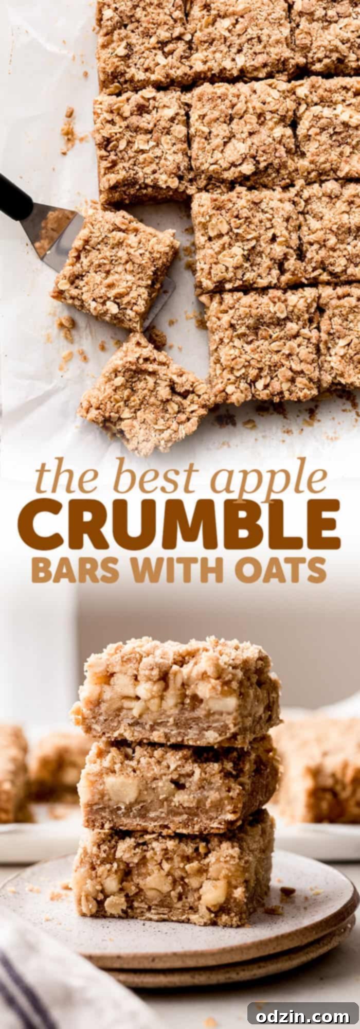 two images combined with words created for the sole purpose of pinning on pinterest