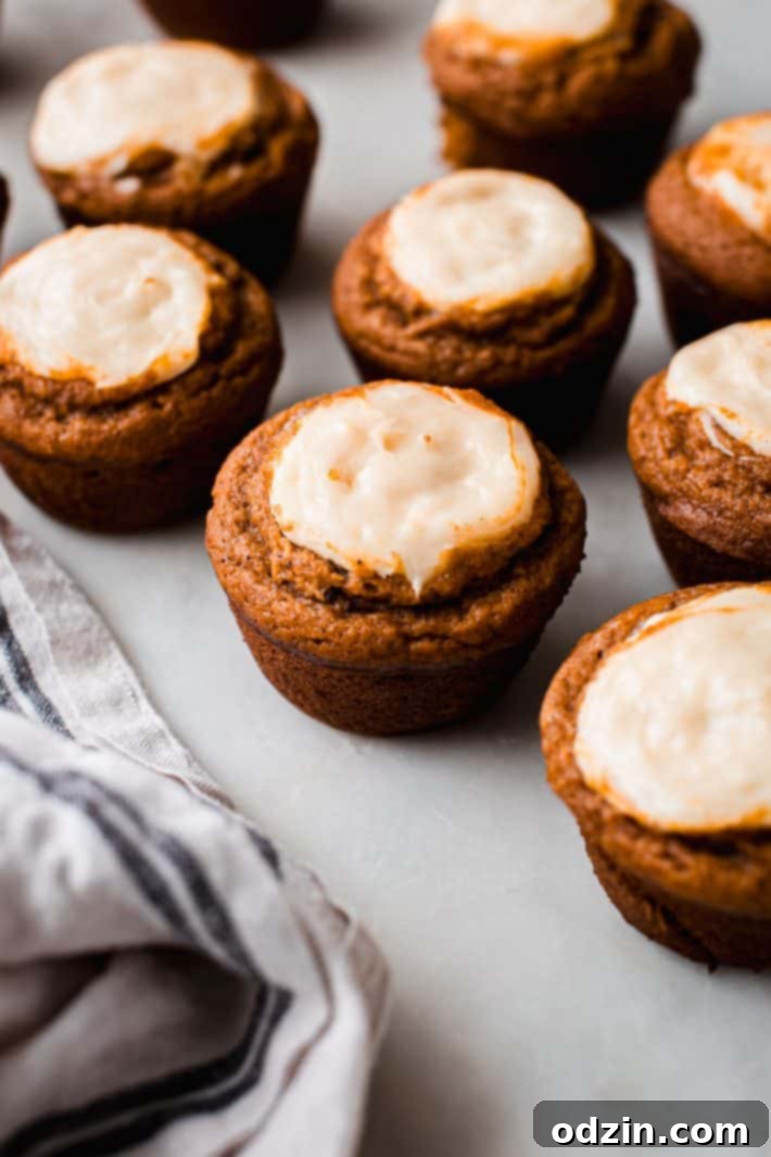 Chai-Spiced Pumpkin Cream Cheese Muffins 7 Several chai pumpkin muffins with cheesecake swirls arranged aesthetically on a white marble surface.