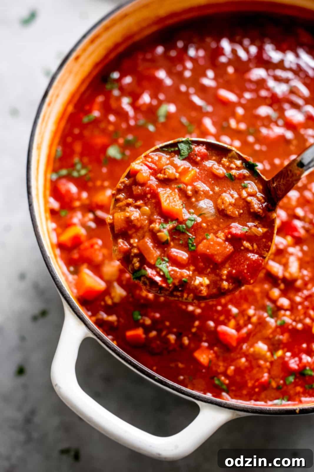 ladle fun of soup being lifted from white cast iron pot 