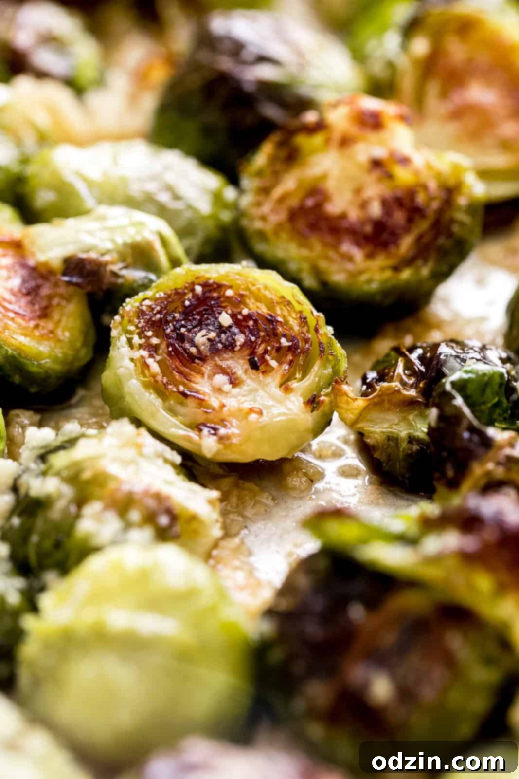 Close-up shot of perfectly roasted Brussels sprout halves, glistening with garlic butter and lightly dusted with grated Parmesan cheese, showcasing their crispy edges.