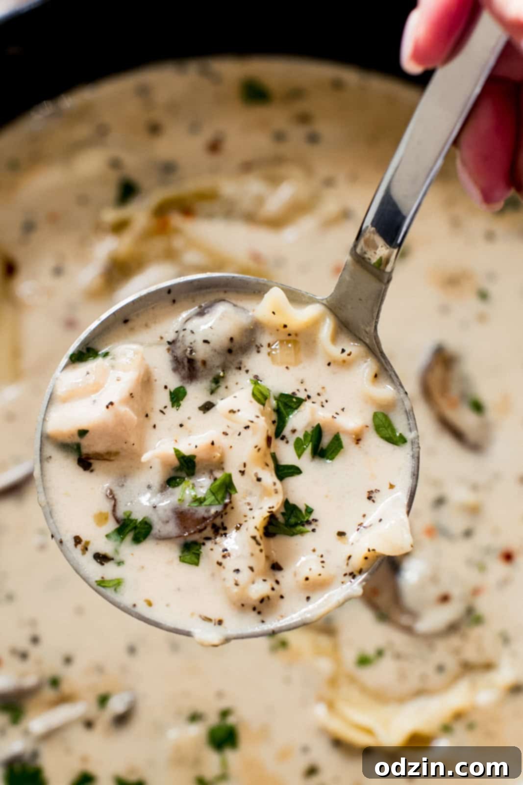 Ladle serving creamy Roasted Garlic White Chicken Lasagna Soup with visible mushrooms, noodles, and fresh parsley