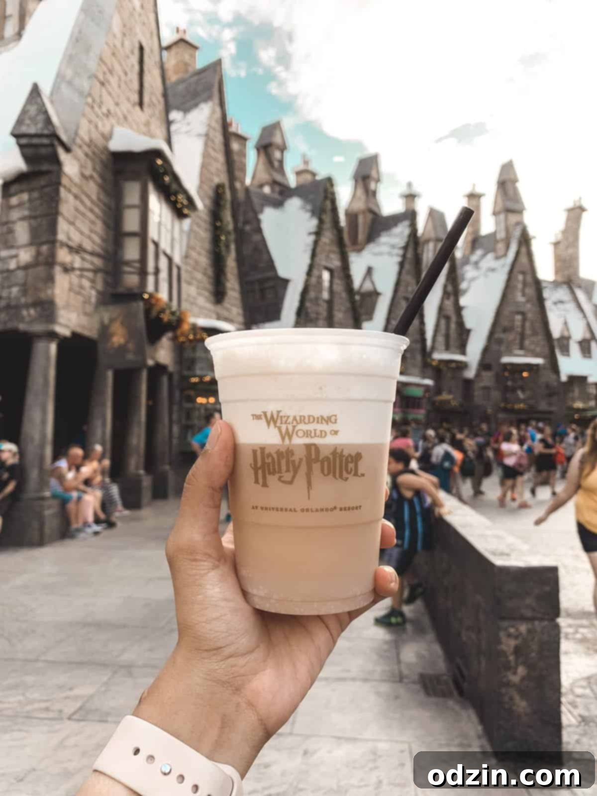 The Best Recipes of 2018 A Year End Roundup 6 A frothy Butter Beer at the Wizarding World of Harry Potter, a delightful and iconic treat