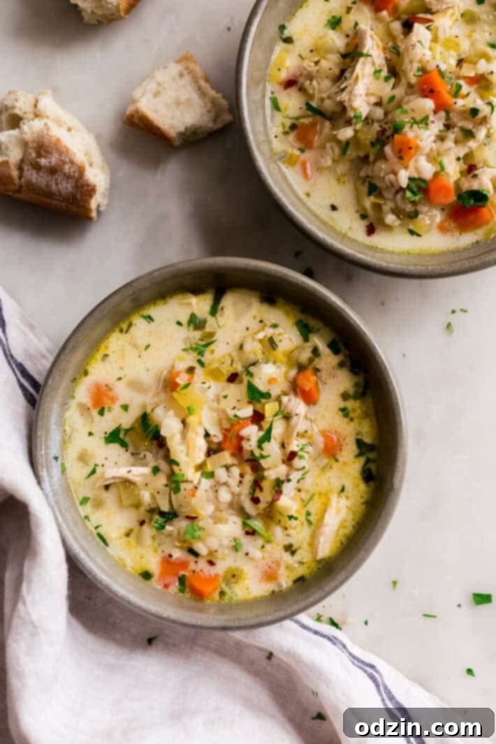 Sunshine Lemon Chicken Barley Soup 2 bowls of chicken barley soup on white marble surface
