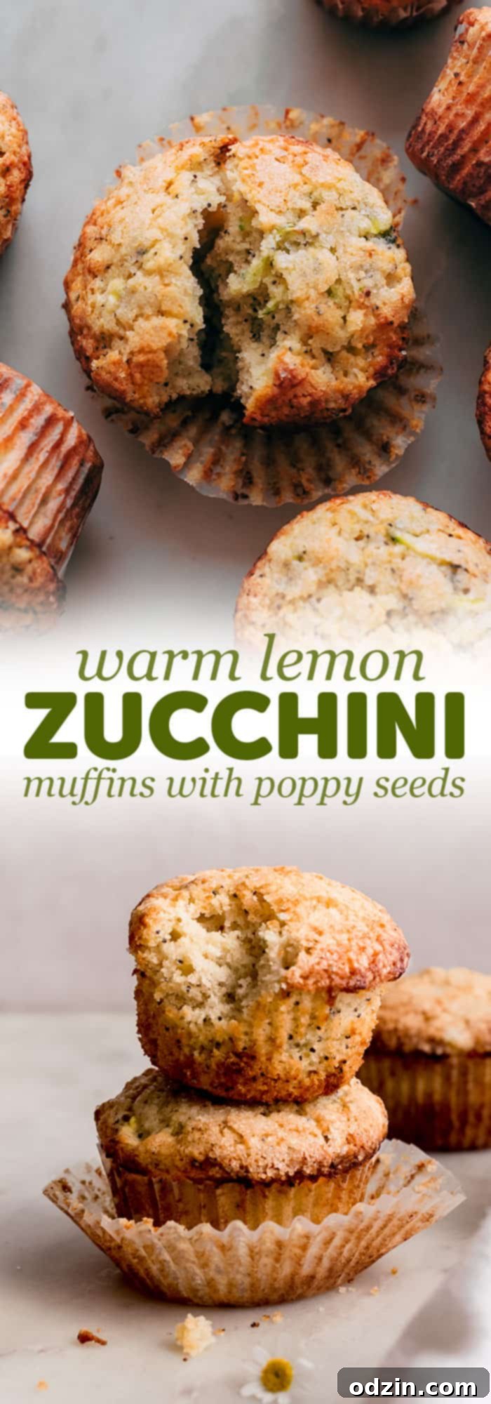 two images joined into make one with text created for the sole purpose of pinning on Pinterest