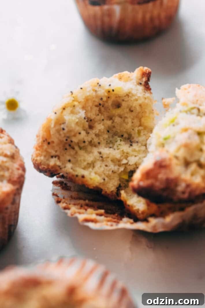 Warm Lemon Zucchini Muffins - these muffins are tender as can be and loaded with spices and zucchini. So good you'll never make any other zucchini muffin recipe again! #zucchinimuffins #lemonzucchinimuffins #lemonpoppyseedmuffins #muffins #baking | Littlespicejar.com Warm Lemon Zucchini Muffins - these muffins are tender as can be and loaded with spices and zucchini. So good you'll never make any other zucchini muffin recipe again! #zucchinimuffins #lemonzucchinimuffins #lemonpoppyseedmuffins #muffins #baking | Littlespicejar.com