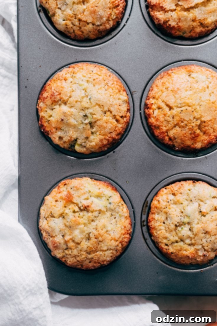 Warm Lemon Zucchini Muffins