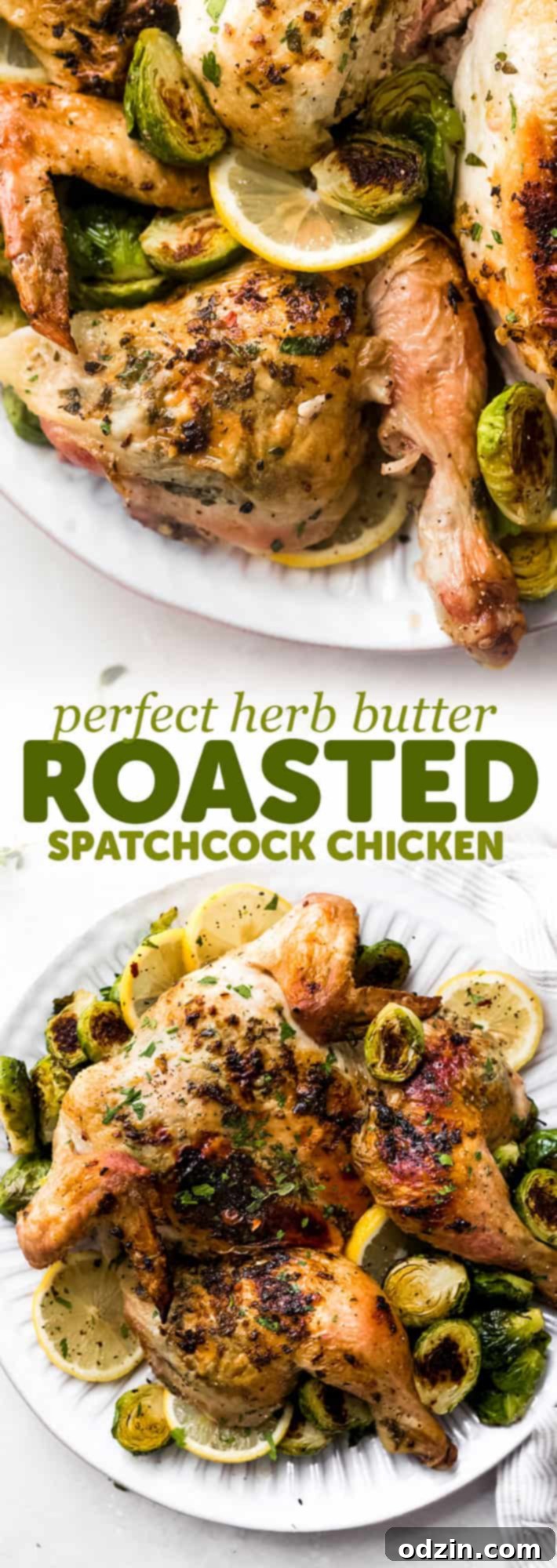 A visual summary for Pinterest: 'Roasted Herb Butter Spatchcock Chicken: Learn how easy it is to spatchcock and roast your own delicious chicken. Skip the store-bought rotisserie chicken and start roasting weekly!'