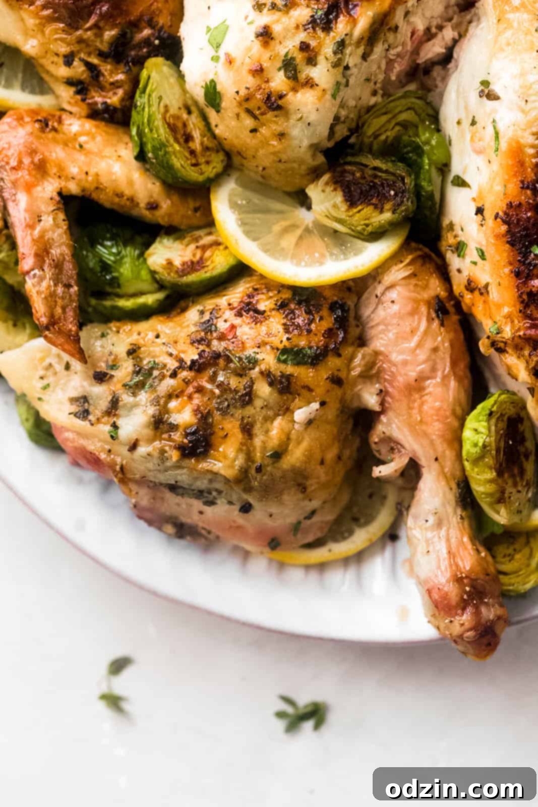 A beautifully roasted chicken, sectioned into pieces, served on a white plate with roasted Brussels sprouts and fresh lemon slices.