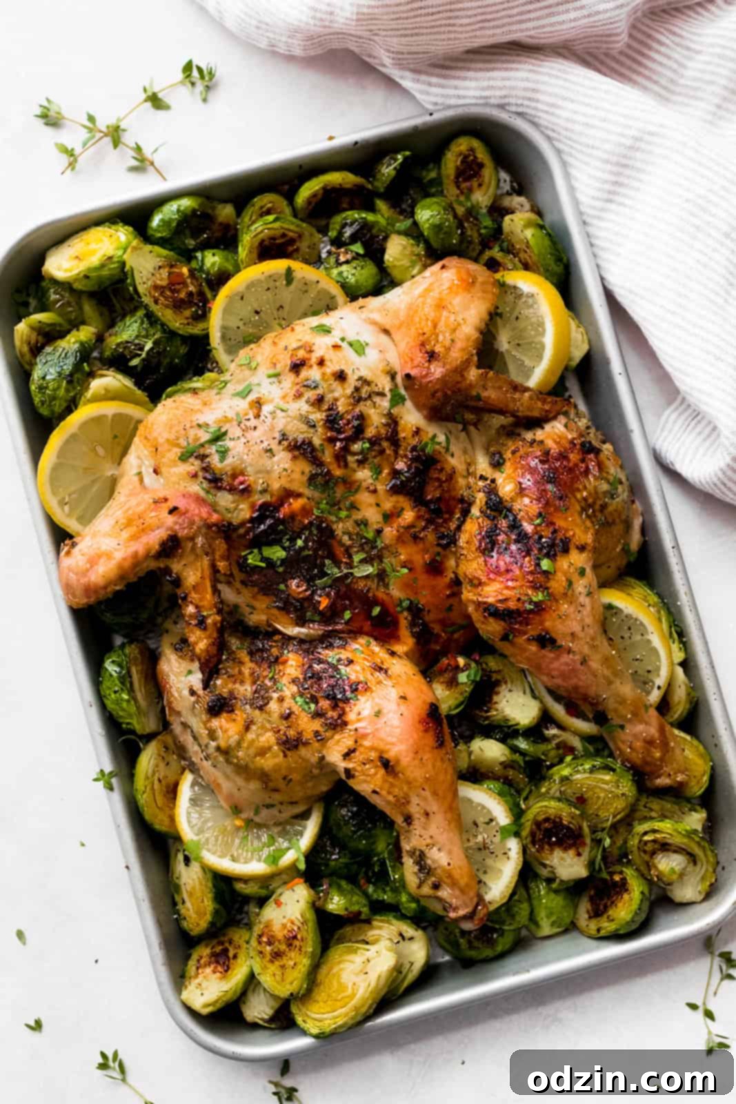 A sheet pan showcasing a beautifully roasted whole spatchcock chicken, accompanied by vibrant lemon slices and perfectly roasted Brussels sprouts.