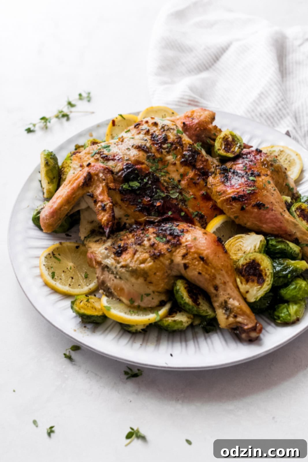 A dinner plate featuring a serving of roasted spatchcock chicken, garnished with lemon and roasted Brussels sprouts, placed on a modern grey surface.