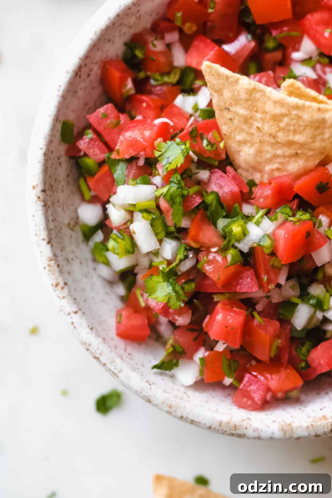 close up of bowl to show size of chopped tomato, onions, and cilantro