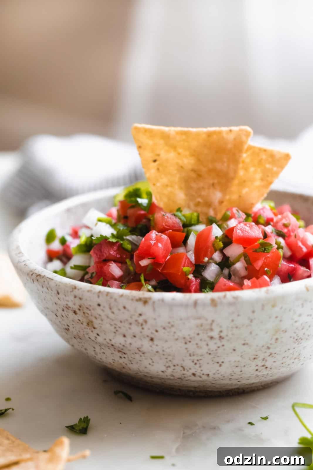 side view of speckled bowl of prepared pico with tortilla chips standing 