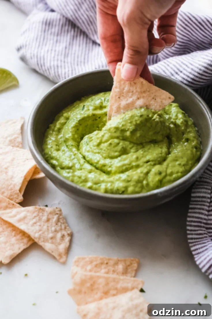 A delicious and creamy 5-Minute Avocado Dip, perfect for snacking or entertaining.