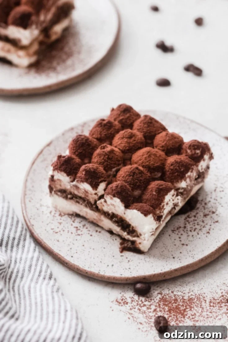 The Easiest Eggless Tiramisu