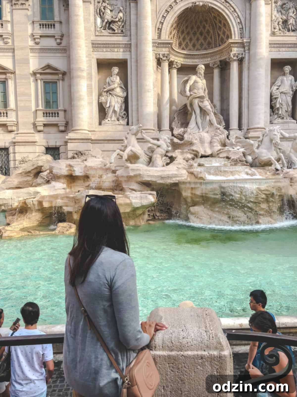 me standing and looking at the trevi fountain