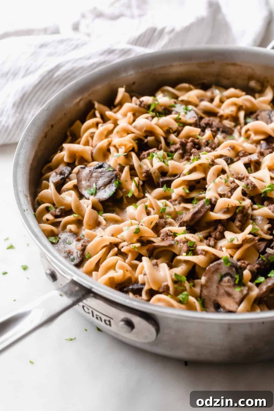 side view of skillet with egg noodles, mushrooms, and ground beef in brown cream sauce