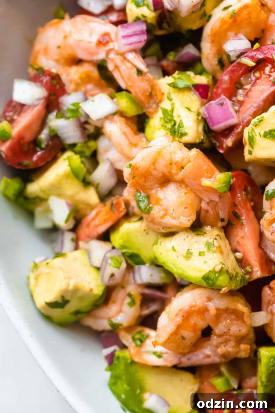 close up of sautéed shrimp salad with vibrant avocado chunks, finely minced onions, juicy tomato wedges, and fresh cilantro, perfectly dressed