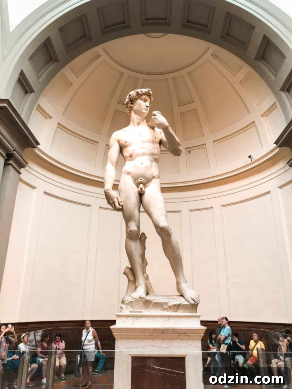 statue of David at Galleria dell' Accademia