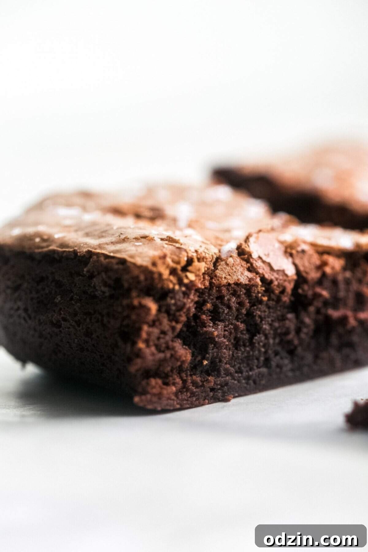 Decadent Pan-Banging Salted Fudge Brownies 3 close up texture of a perfectly baked pan-banging fudge brownie