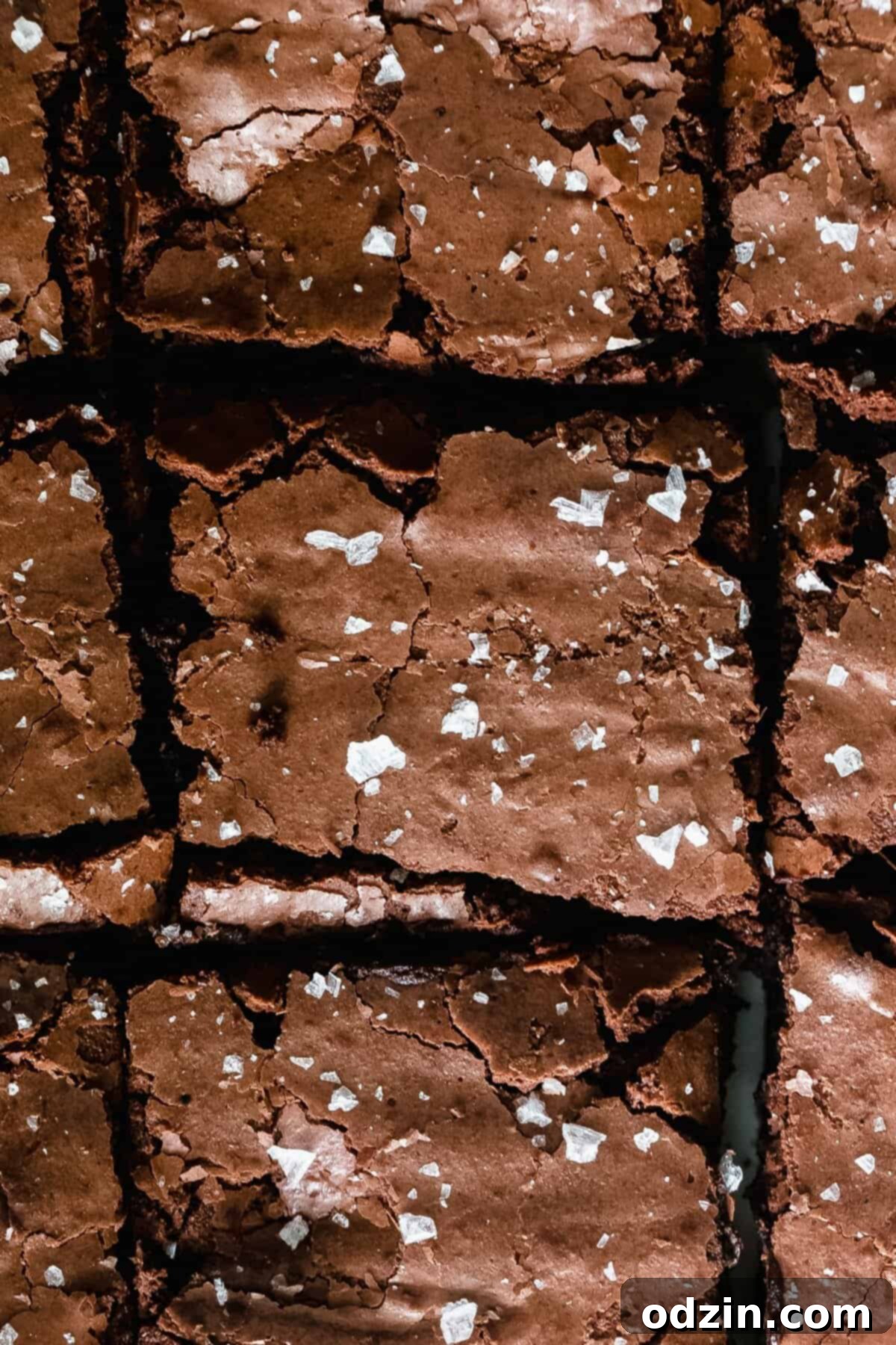Decadent Pan-Banging Salted Fudge Brownies 4 pieces of salted fudge brownie cooling in a metal baking pan