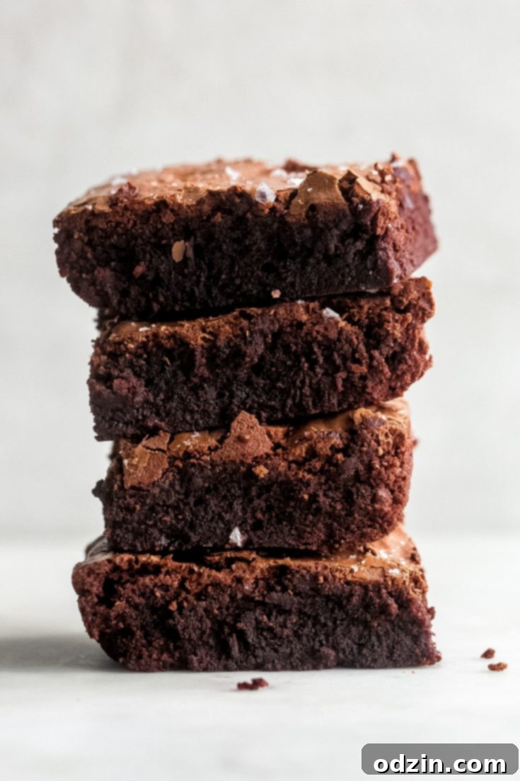 Pan-Banging Salted Fudge Brownies