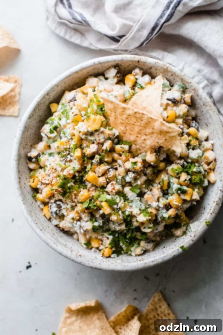 bowl of elites dip with corn dips