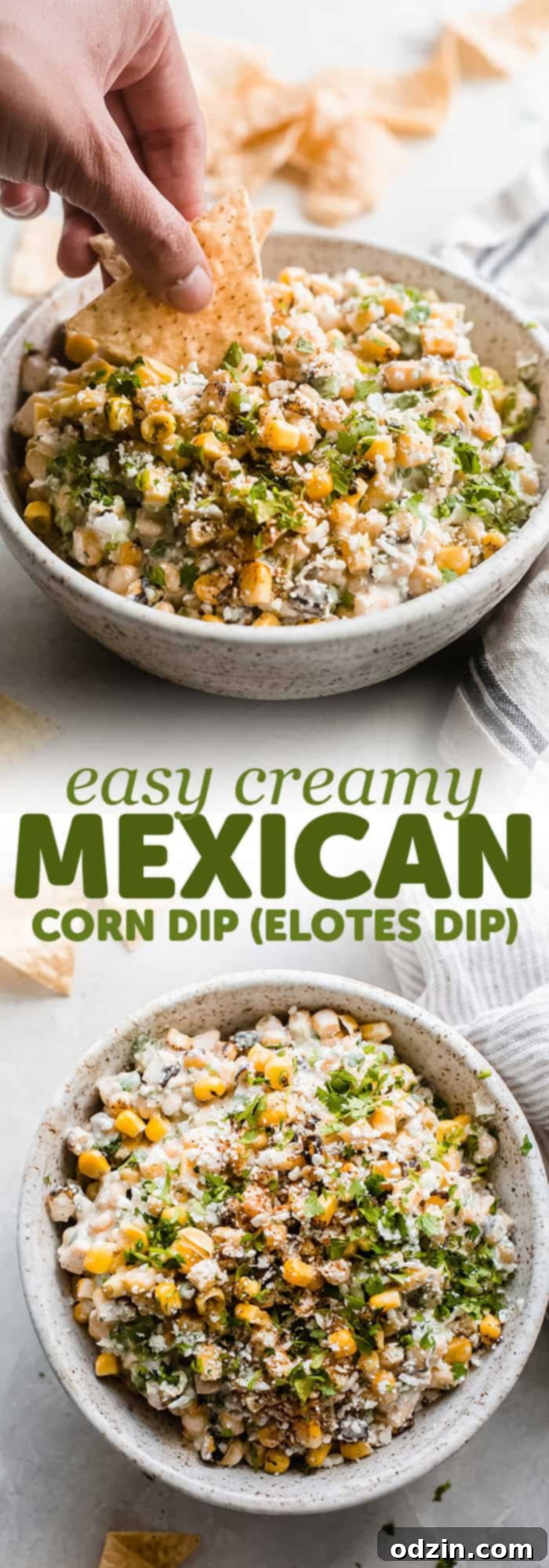 long image with two images combined with words for the sole purpose of pinning on Pinterest