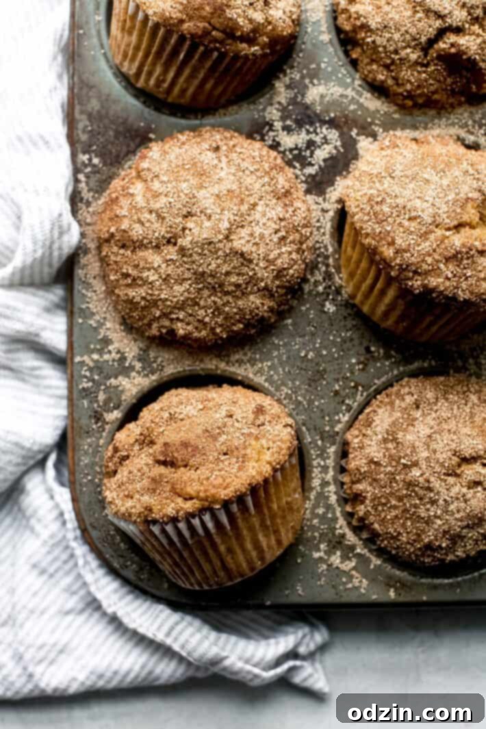 Cinnamon Sugar Pumpkin Muffins 2 pumpkin snickerdoodle muffins in muffin pan with cinnamon sugar on top