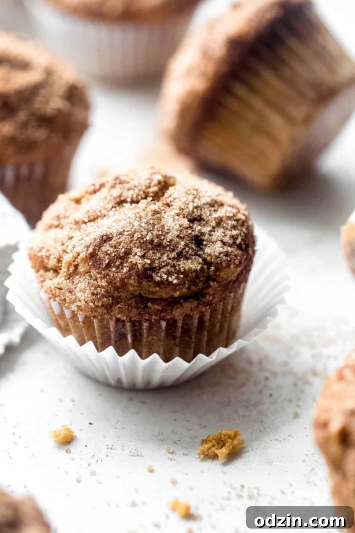 Cinnamon Sugar Pumpkin Muffins 3 close up of pumpkin muffin sprinkled with cinnamon sugar on top
