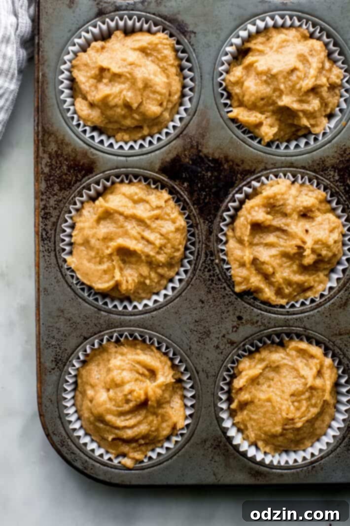 Pumpkin Snickerdoodle Muffins - everything you love about snickerdoodle cookies and pumpkin muffins smushed together into one! Tender and so delicious with a cup of coffee in the fall! #pumpkinmuffins #bestpumpkinmuffins #pumpkinrecipes #fallbakingrecipes #fallbaking #snickerdoodle | Littlespicejar.com Pumpkin Snickerdoodle Muffins - everything you love about snickerdoodle cookies and pumpkin muffins smushed together into one! Tender and so delicious with a cup of coffee in the fall! #pumpkinmuffins #bestpumpkinmuffins #pumpkinrecipes #fallbakingrecipes #fallbaking #snickerdoodle | Littlespicejar.com