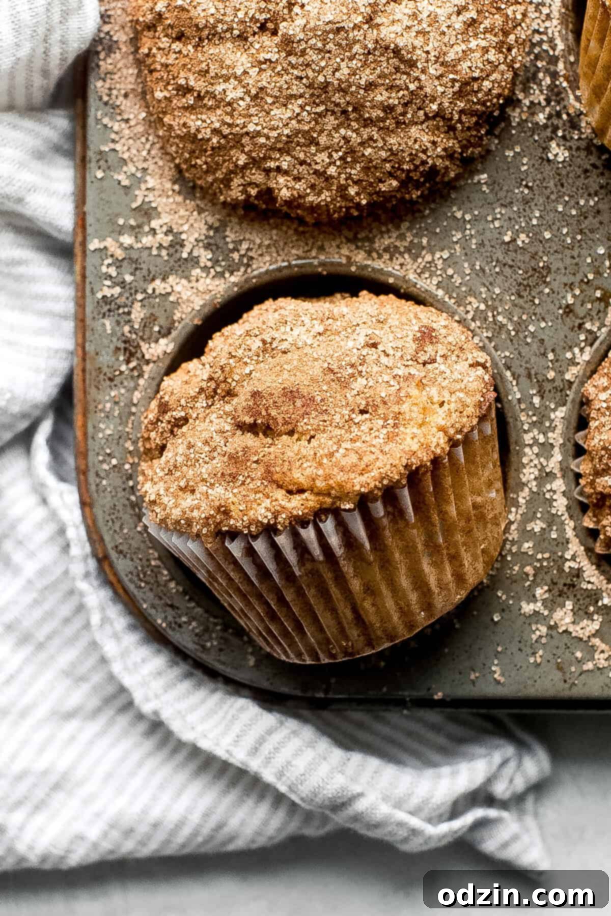 Cinnamon Sugar Pumpkin Muffins 6 close up of pumpkin muffins showing the texture of cinnamon sugar on top