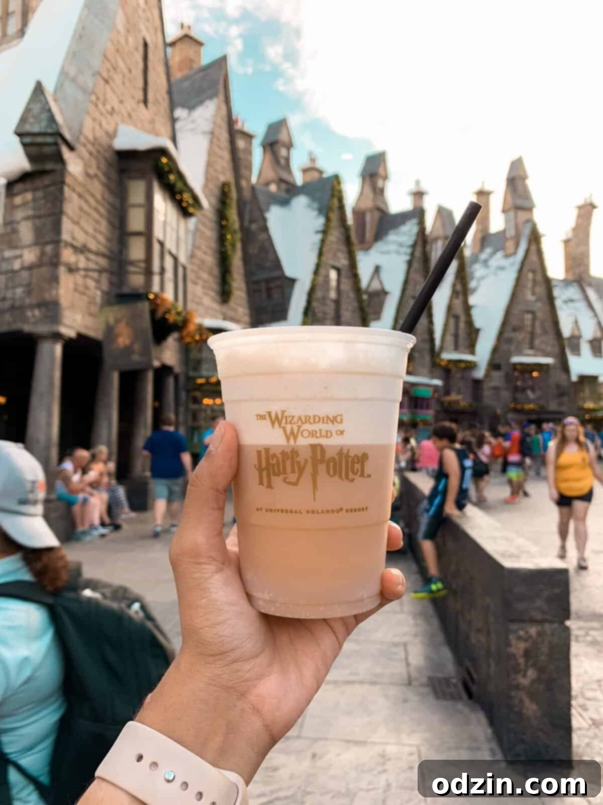 Maximize Your Wizarding World Experience 14 butterbeer at the Wizarding World of Harry Potter Universal Studios Orlando