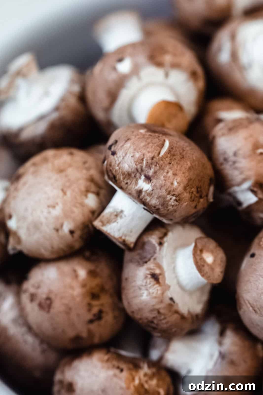 A pile of fresh, clean baby Bella (crimini) mushrooms, ready for cooking.