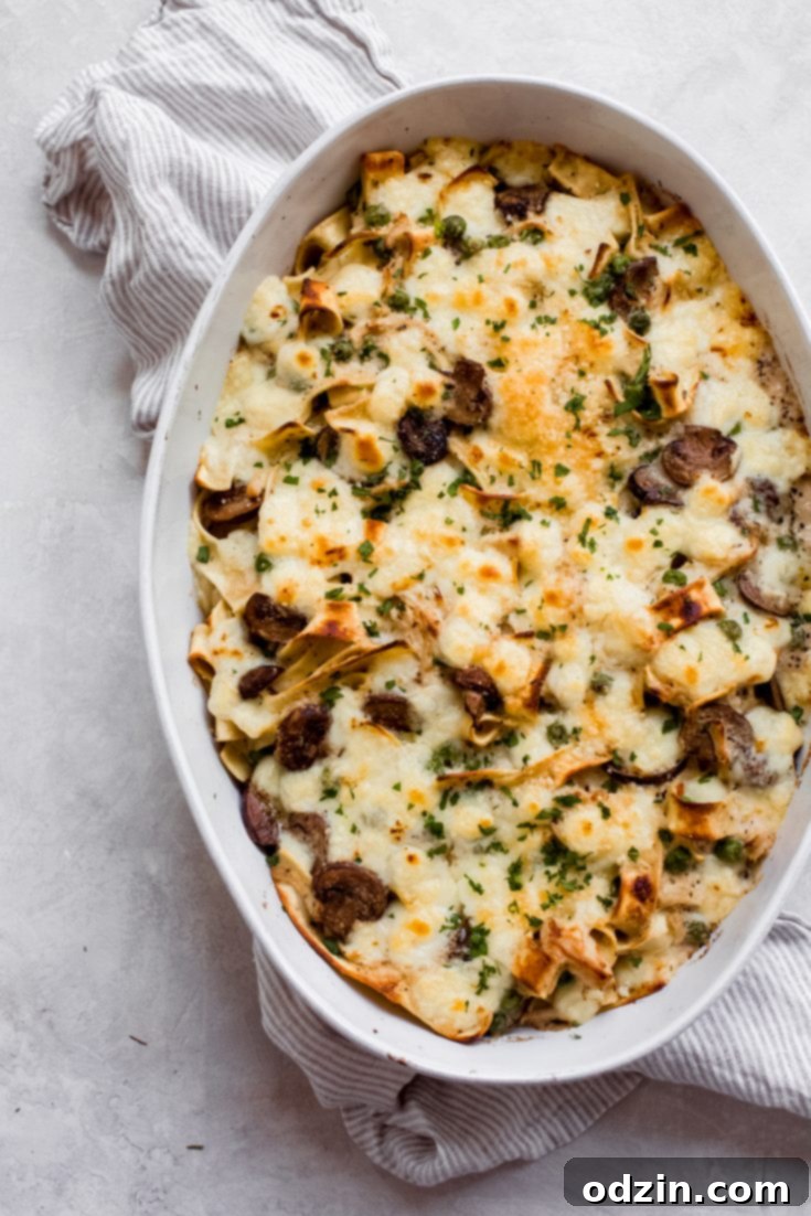 Easy Leftover Turkey Pasta Bake ( or Chicken!)