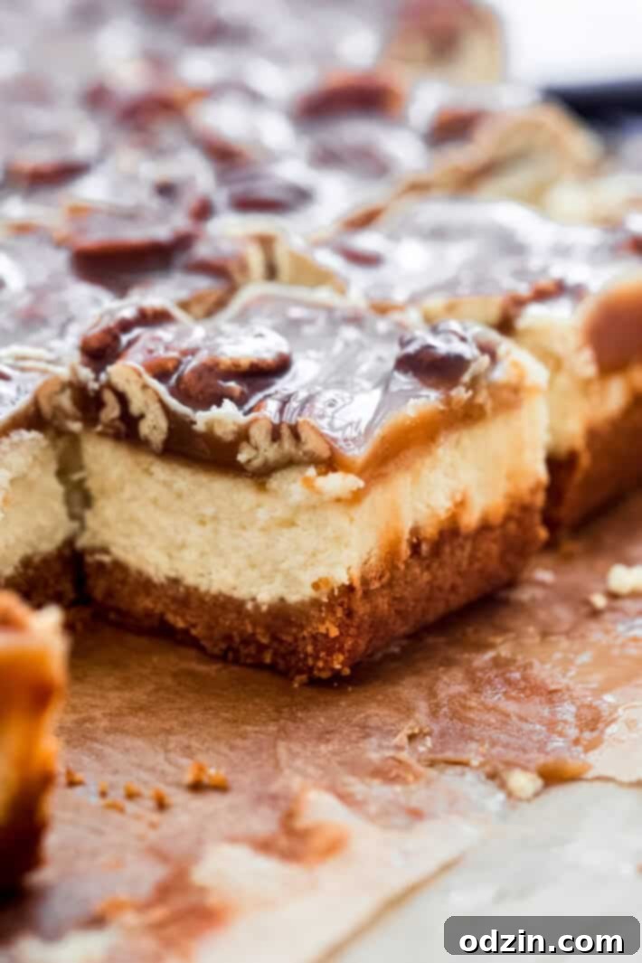 Shiny caramel topping on individual pieces of pecan cheesecake bars, showcasing their rich texture