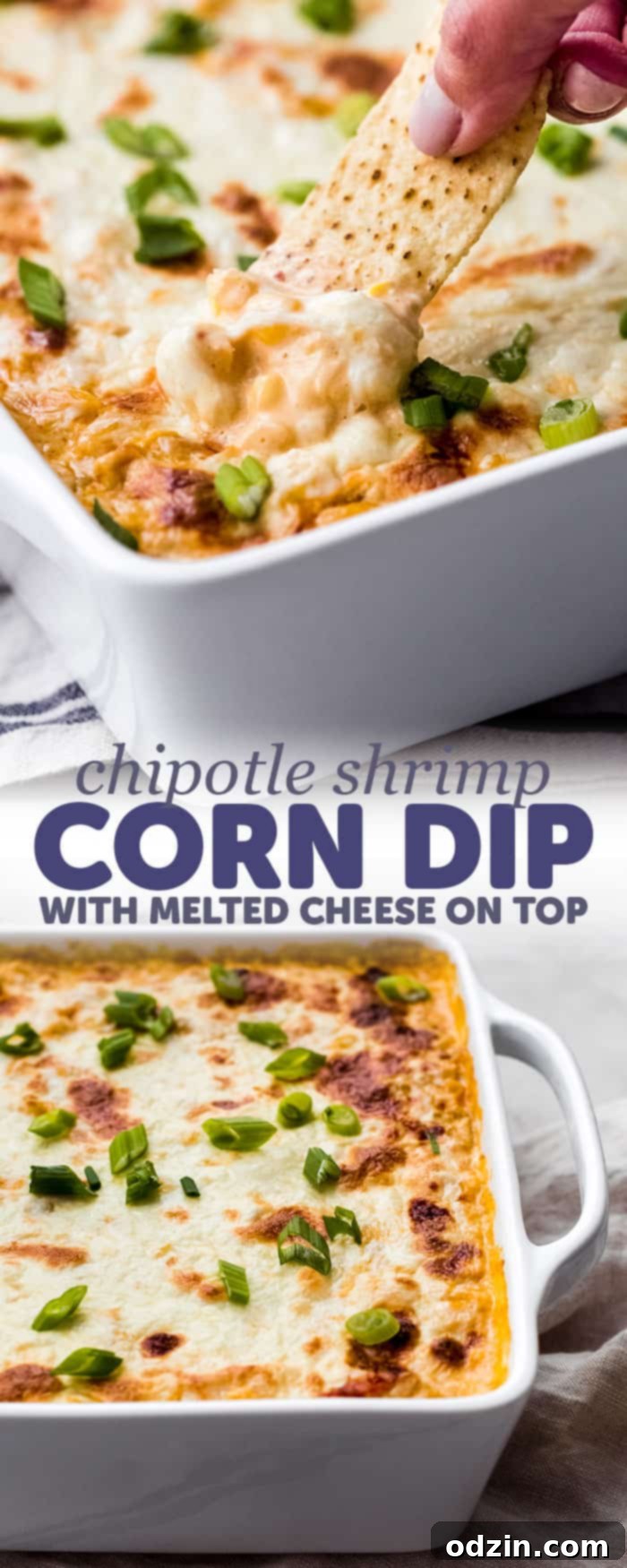 long image with two images combined with words for the sole purpose of pinning Hot Chipotle Shrimp Corn Dip on Pinterest
