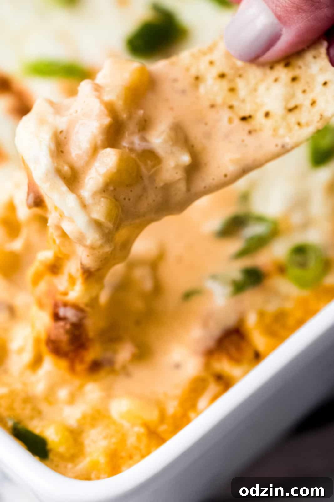 close up of melty chipotle shrimp corn dip on tortilla chip, ready to eat