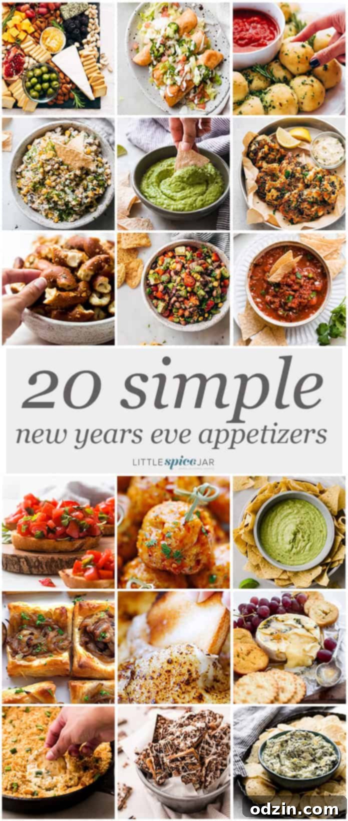 a collage with a picture of all the 20 appetizers shared in this post