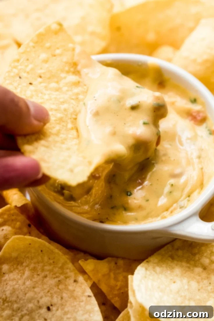 Texas Green Chili Queso Dip 