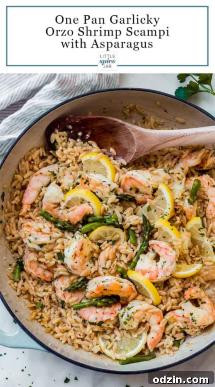 Delectable Garlic Shrimp Scampi with Orzo Pasta and Fresh Asparagus 4 top shot of orzo shrimp scampi with asparagus in cast iron skillet with wooden spoon