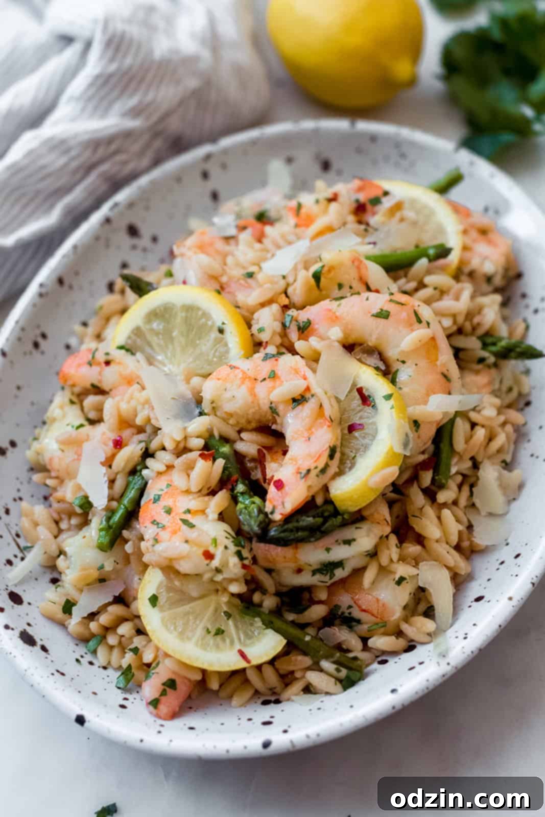 Orzo Shrimp Scampi with Asparagus speckled oval plate with shrimp and orzo and asparagus