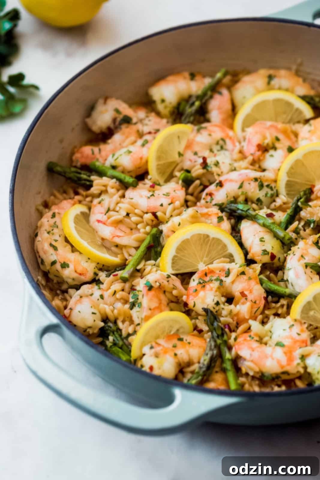 Orzo Shrimp Scampi with Asparagus side shot of cast iron pot with shrimp, lemon slices, and asparagus on orzo pasta