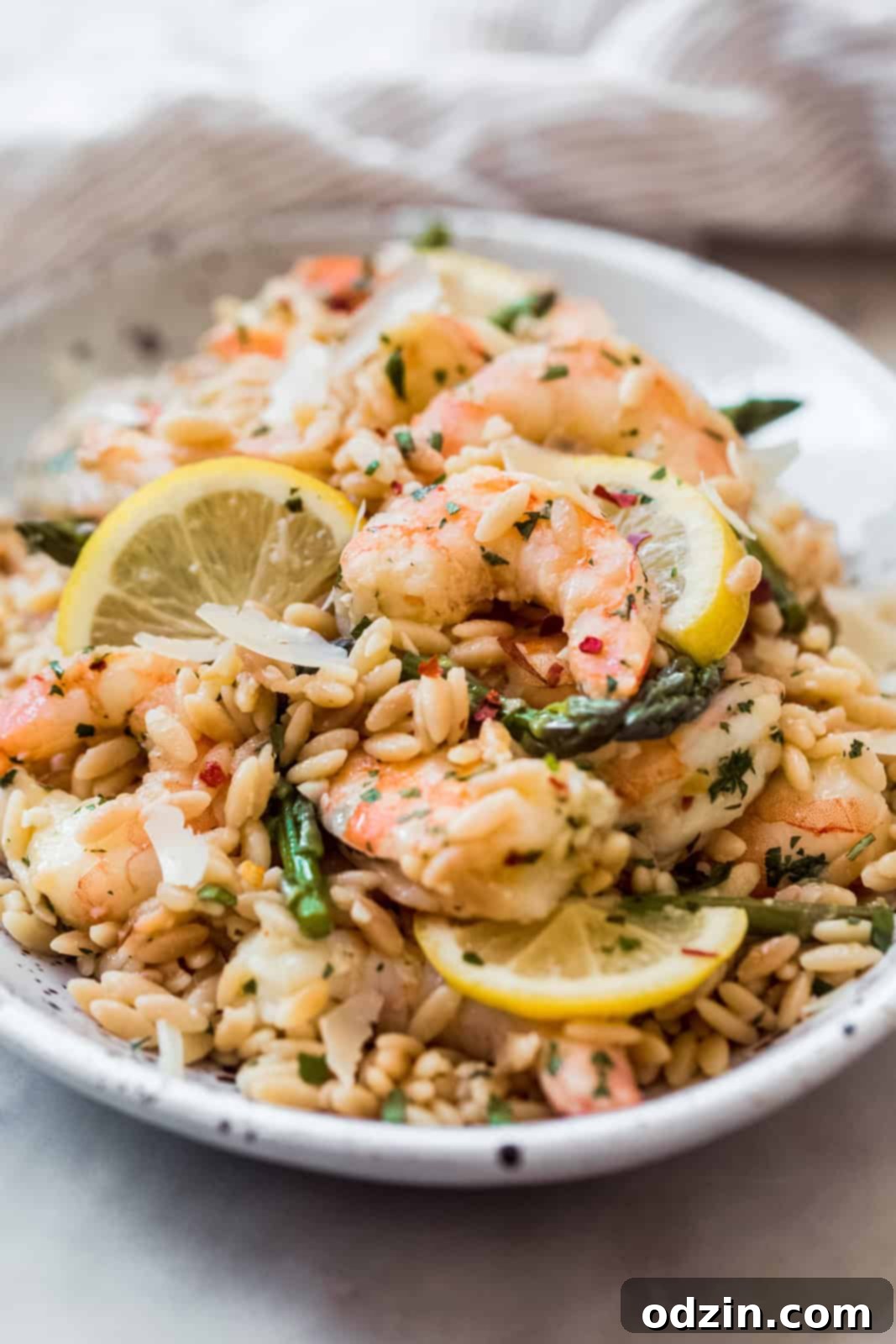Orzo Shrimp Scampi with Asparagus close up on shrimp on orzo on oval plate
