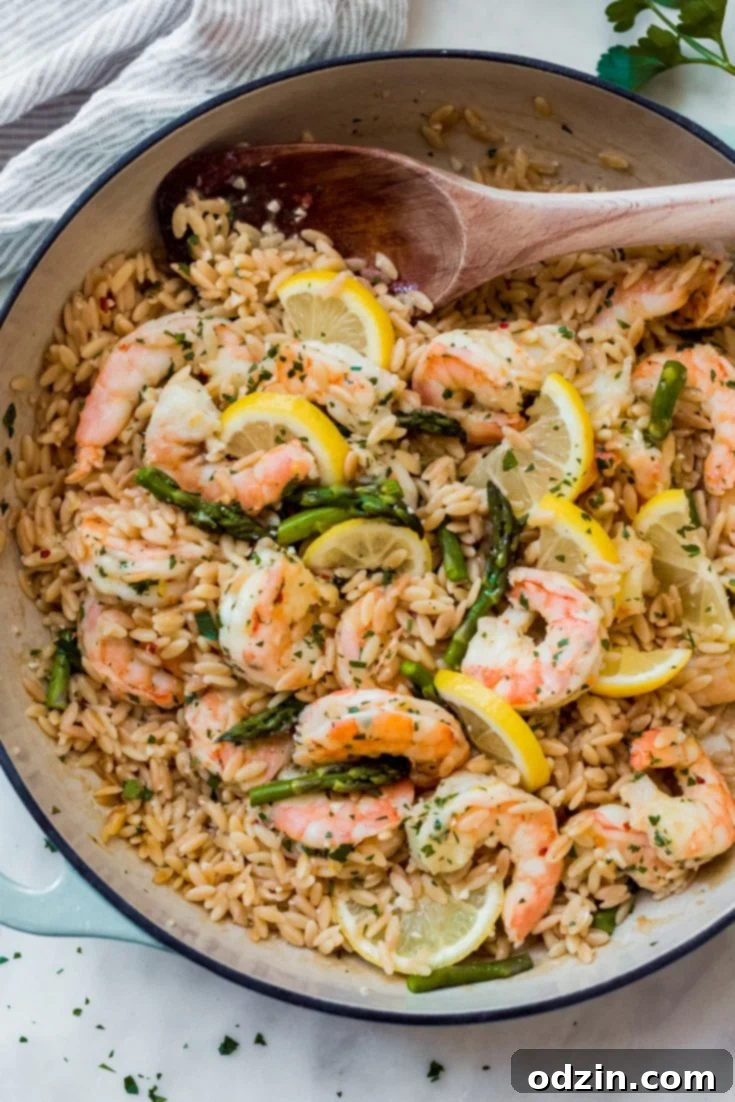 Garlicky Orzo Shrimp Scampi with Asparagus