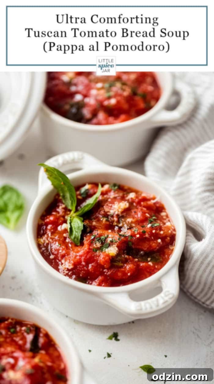 Tuscan Tomato Bread Soup (Pappa al Pomodoro) - A simple starter soup that's completely vegetarian and loaded with tons of delicious flavor! #tomatosoup #tomatobreadsoup #pappaalpomodoro #vegetarian #souprecipes | Littlespicejar.com white dish with tomato bread soup side shot with basil