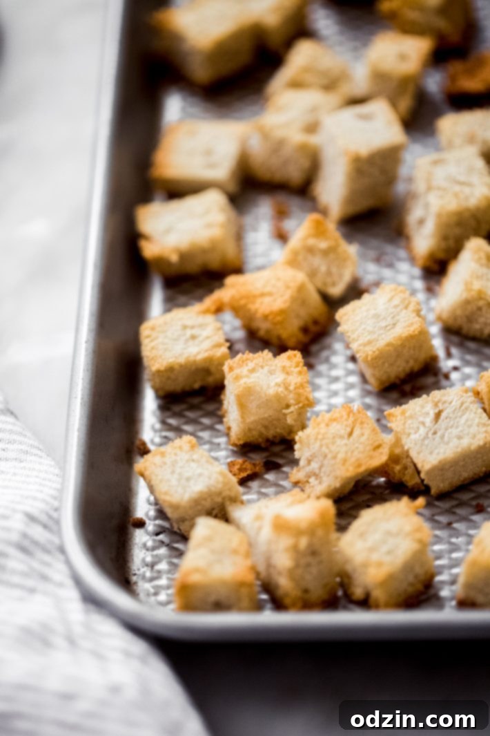 Toasted bread cubes Toasted bread cubes on sheet pan