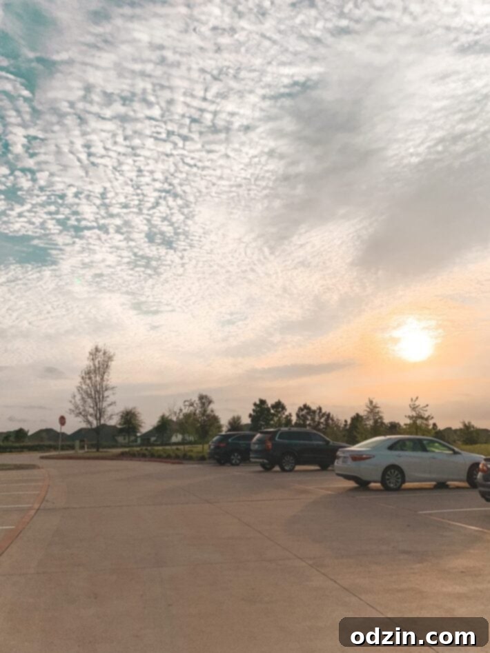 cotton candy sky right before sunset at a park