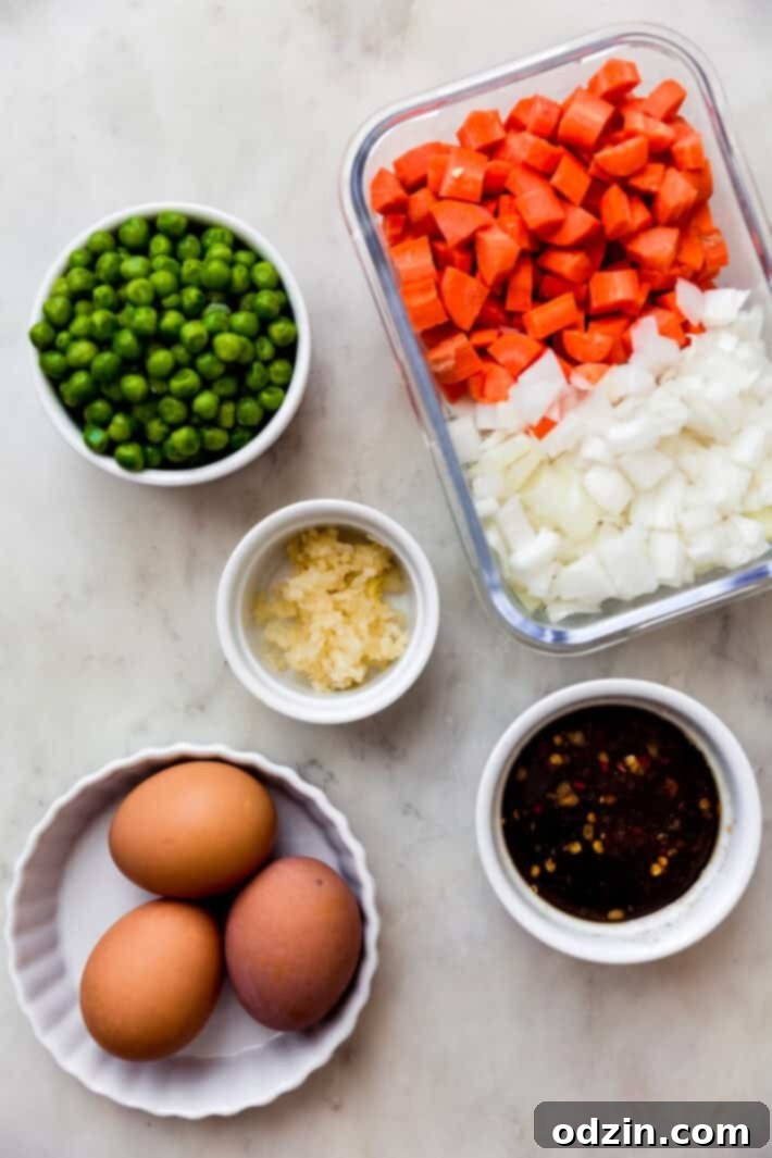 ingredients needed to make homemade fried rice
