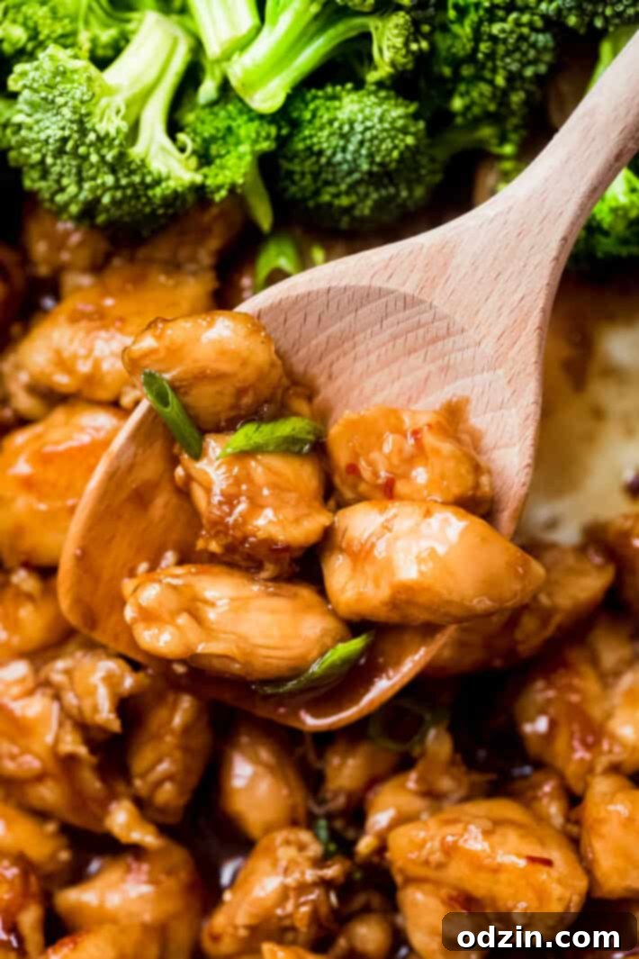 close up of teriyaki on a spoon